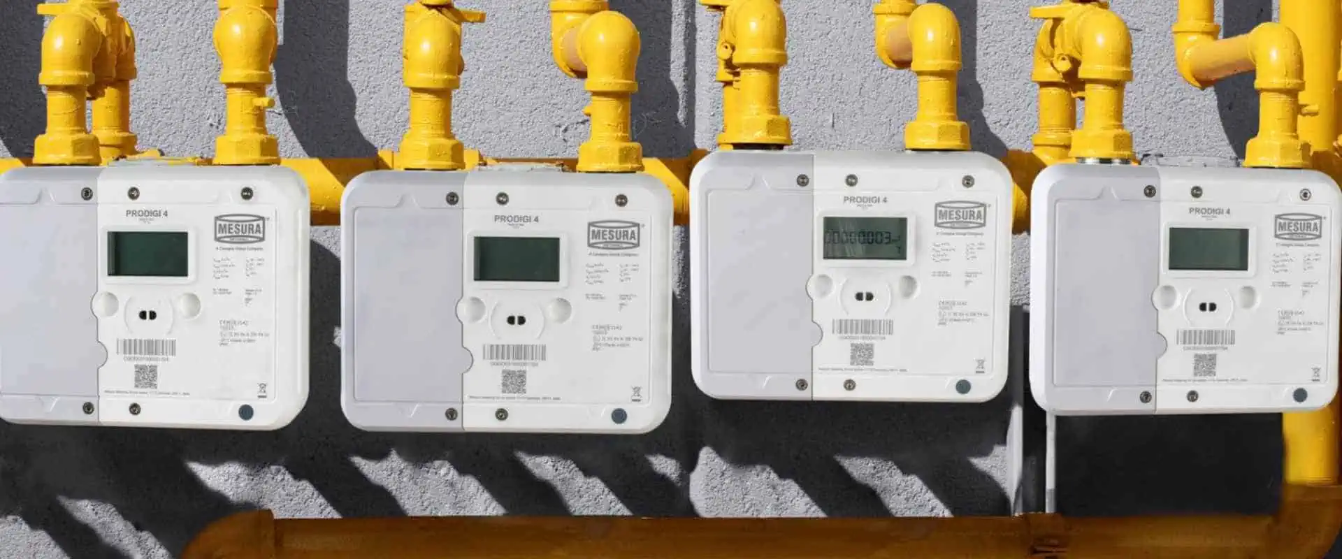 Smart Gas Meters