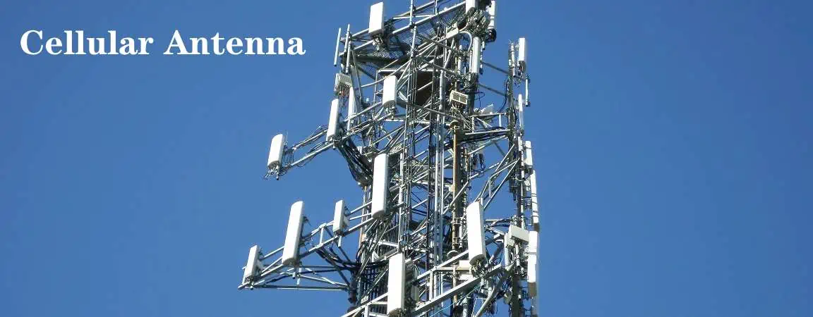 Cellular Antenna